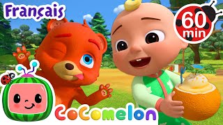 Coucou toi  Chansons pour Bébés  CoComelon Le coin des Animaux de JJ  Comptines [upl. by Kalfas724]