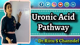 Uronic Acid PathwayGlucuronic acid pathwayBiochemistryBiochemistry of Carbohydrates [upl. by Sachi]