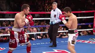 Nonito Donaire vs Fernando Montiel Full Fight [upl. by Yuma]