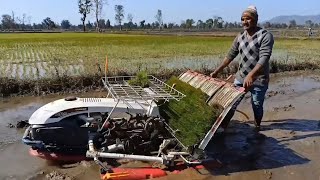 Setting Done For plantation yanmar AP4 Rice Transplanter 🌾 [upl. by Lagasse515]