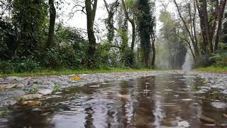 8 horas Som de Chuva leve e calma  Tela Preta  Som e musica para relaxar dormir [upl. by Ladnar780]