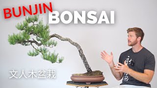 Bunjin Pine Bonsai  Experimental Techniques  BonsaiU [upl. by Eanram501]