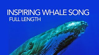 Whale song  full length humpback whale song  soothing sounds of the sea for meditation [upl. by Ahsirt]