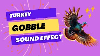 Turkey Gobble Sound Effect with Animated Turkey [upl. by Telocin]