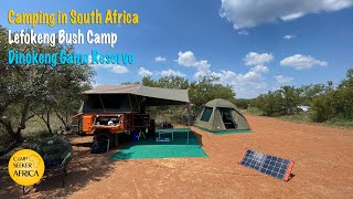 Camping in South Africa  Lefokeng Bush Camp  Dinokeng Game Reserve [upl. by Atteirneh]