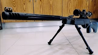 Review GAMO HPA MI IGT 🇹🇳🇹🇳 [upl. by Shara]