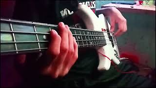 Come as You are nirvana bass cover [upl. by Akcirederf]