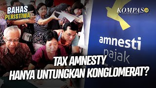 Polemik Hidupnya Lagi quotTax Amnestyquot di Tengah Rencana Kenaikan PPN 12 Persen [upl. by Eryn]