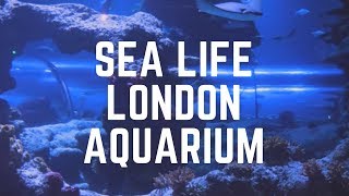 Sea Life London Aquarium on the South Bank of River Thames [upl. by Alderson232]