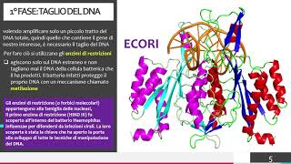 LA TECNICA DEL DNA RICOMBINANTE [upl. by Notsur]