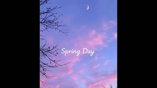 Spring Day by BTS springday bts shorts feed lyrics [upl. by Fleisig363]