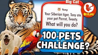 The 100 PETS CHALLENGE in Bitlife but my pet Tiger keeps eating them [upl. by Aljan571]