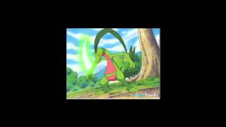 Treeko Evolves into Grovyle [upl. by Nodnrb30]