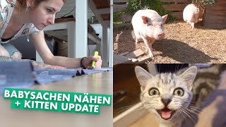 Babyklamotten selber nähen  Mit den Kitten zum Tierarzt  SchweinenUpdate  Weekly Vlog 71 [upl. by Ainig]