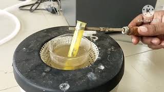 Fructose  Confirmatory test  Osazone test  Carbohydrates  Biochemistry Laboratory [upl. by Eninnej52]