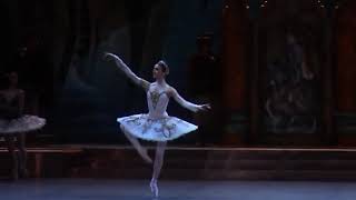 Svetlana Zakharova Raymonda [upl. by Aili626]