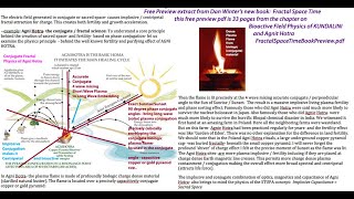 Ulrich Berk Ancient and Modern  and phase conjugate Plasma Healing  Wisdom of AGNI HOTRA [upl. by Saudra]