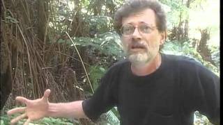 Terence McKenna  Interview Hawaii  October 1998 [upl. by Meekah662]