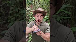 Tuto  BOWHUNTING 🏹 mentawai tribe bow traditional culture plants forest tutorial nature [upl. by Warde]