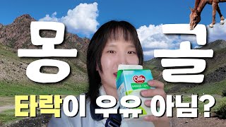 타락이래서 샀는데 이것 뭐에요 ᴹᴺ 12박 13일 몽골 여행 vlog  2화 [upl. by Yartnoed]