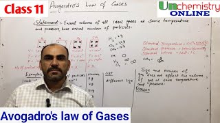 Avogadros law of gases Gaseous state Chemistry class 11 chapter 3 [upl. by Liag]