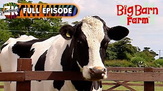 Big Barn Farm  Season 1 Episode 15  Recycling Proficiency Test [upl. by Malachi170]