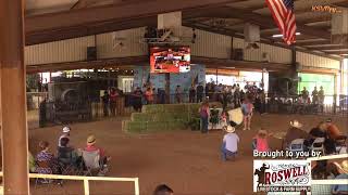 2024 Eddy County Fair Wool Lead Show [upl. by Agustin748]