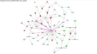 Examining Networks results in QIAGEN Ingenuity Pathway Analysis software video tutorial [upl. by Nnyre]