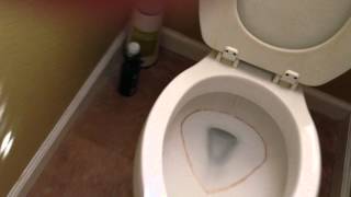 DIY Hard Water Ring in the Toilet Bowl using Pumice Stone [upl. by Archangel602]