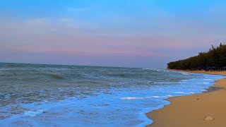 🔴Sounds of the Ocean Shore  Sunsetlit Waves Relaxing Nature [upl. by Nance559]