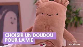 Choisir un doudou pour la vie  La Maison des maternelles LMDM [upl. by Valda]