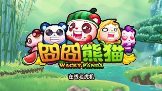 Microgaming Wacky Panda Slot Review Big Wins Jackpots Bonus Rounds [upl. by Reiniar]