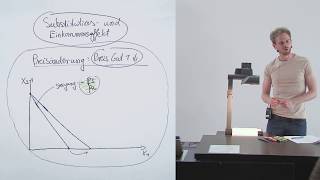 Substitutionseffekt und Einkommenseffekt 1 Wichtige Grundlagen 917 [upl. by Hawkins]