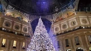 Accensione albero di Natale Swarovski in Galleria Vittorio Emanuele II  Milano [upl. by Kulsrud299]