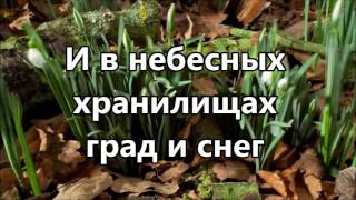 Ты чудесный Бог  минус [upl. by Mackie]