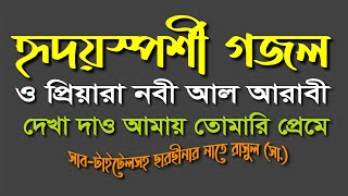 ও পিয়ারা নবী আল আরাবী  O pyara nabi al arabi [upl. by Eirac]