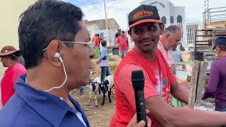 Feira do Bode em Senador Rui Palmeira  AL 20  02  2024 nordeste [upl. by Kcirrag]