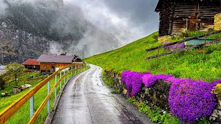 Beautiful rain walking tour in Gimmelwald 🇨🇭 A Swiss village [upl. by Etoile]