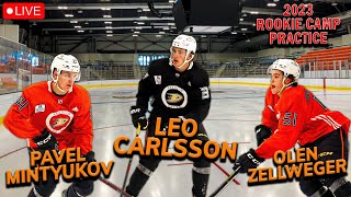 LIVE from Anaheim Ducks 2023 Rookie Camp [upl. by Hubbard]