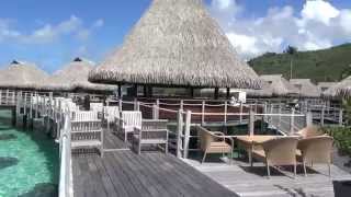 힐튼 모레아  Hilton Moorea Lagoon Resort amp Spa  룸컨디션 [upl. by Leeann]