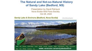 On the Natural and NotsoNatural History of Sandy Lake Bedford NS 28Oct2024 [upl. by Martainn402]