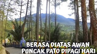 4K MORNING TOUR AROUND “PUNCAK PATO” FEEL LIKE TOP OF THE CLOUD [upl. by Aed717]