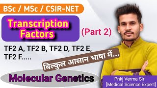 Transcription Factors in Eukaryotes  Part 2  हिंदी में [upl. by Wylen]