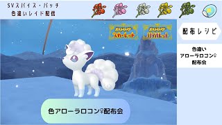 【ポケモンSV】色違いアローラロコン♀配布会【自動レイド 参加自由】 [upl. by Marquez]