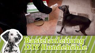 DIY Hundespielzeug selber machen  Hundespielzeug selber bauen [upl. by Nakada]