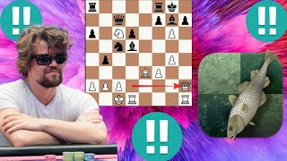 Magnus Carlsen vs Stockfish chess game 223 [upl. by Akimihs]