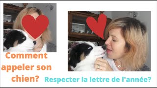 Comment appeler son chien Noms de chien cool  faut il respecter la lettre de son année [upl. by Dulcie]