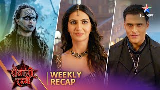 Weekly Recap  Shaitani Rasmein  Kaise layegi Nikki Narbhakshi ke kesh [upl. by Idnahr]