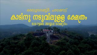 കാടിനു നടുവിൽ ഒരു അയ്യപ്പ ക്ഷേത്രം 🙏 കോട്ടമല അയ്യപ്പ ക്ഷേത്രം [upl. by Enawyd]