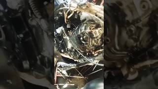 Bajaj Pulsar 150 Bs7 New 2024  Bajaj Pulsar 150cc  Pulsar 150  hjbike04 youtubeshorts [upl. by Yeldarb]